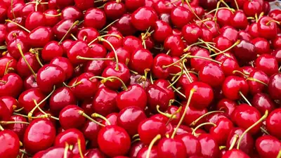 Гастроэнтеролог рассказала об опасности, фото - Новости Zakon.kz от 21.05.2023 01:04