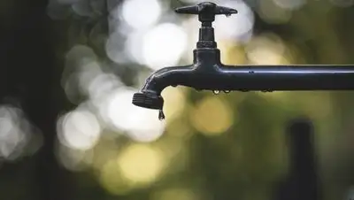 gorodprima.ru, фото - Новости Zakon.kz от 05.06.2021 13:51