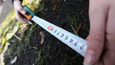 Zakon.kz, фото - Новости Zakon.kz от 02.03.2016 15:17