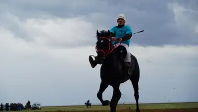 Инфоцентр ВКО, фото - Новости Zakon.kz от 17.06.2019 18:16