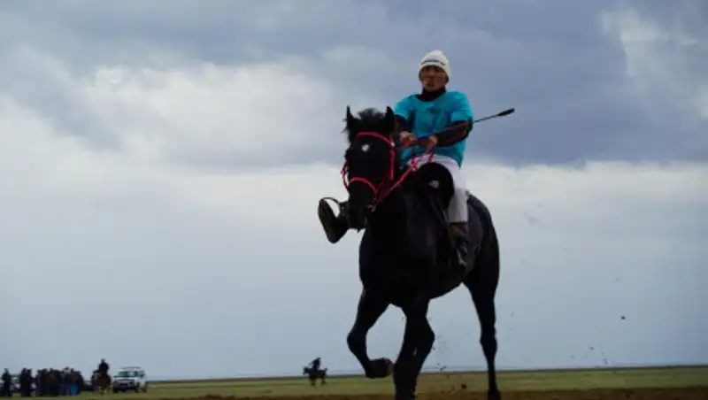 Семь граней Великой степи: впервые в ВКО прошли конные скачки на 140 км