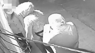 Zakon.kz, фото - Новости Zakon.kz от 24.10.2016 21:24