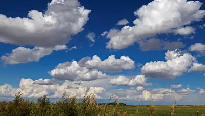 photosight.ru, фото - Новости Zakon.kz от 26.08.2019 15:53