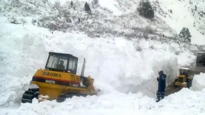 Zakon.kz, фото - Новости Zakon.kz от 23.12.2016 17:16