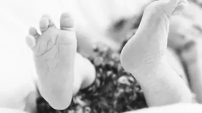 Тело младенца в коробке обнаружили в Актобе , фото - Новости Zakon.kz от 20.12.2022 16:45