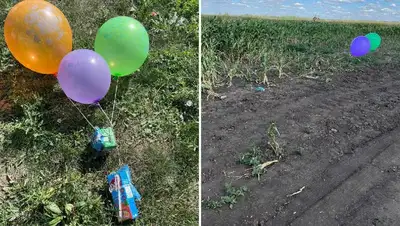 Пропавшей девочке в Костанайской области оставляют продукты с воздушным шарам, фото - Новости Zakon.kz от 09.08.2022 16:26