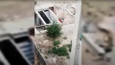 Скриншот, фото - Новости Zakon.kz от 21.07.2020 13:30