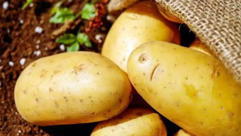 Утверждены правила распределения квот вывоза товаров из Казахстана