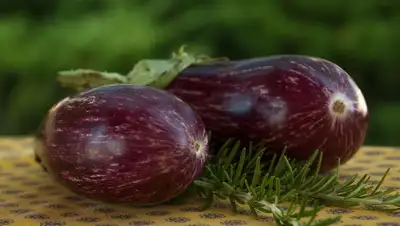 Диетолог назвала овощ, фото - Новости Zakon.kz от 20.07.2022 01:49