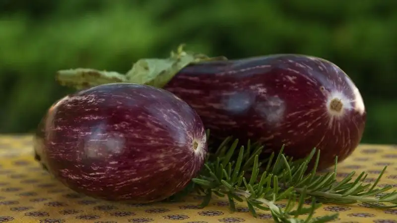 Врач-диетолог назвала овощ, полезный диабетикам и способствующий похудению