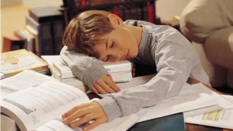 МОН РК: на выходные и праздники не должны давать домашние задания