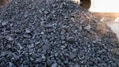 Zakon.kz, фото - Новости Zakon.kz от 17.10.2017 16:54