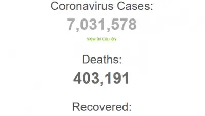 worldometers.info/coronavirus/, фото - Новости Zakon.kz от 07.06.2020 22:17