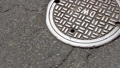 pxhere.com, фото - Новости Zakon.kz от 02.05.2019 14:15