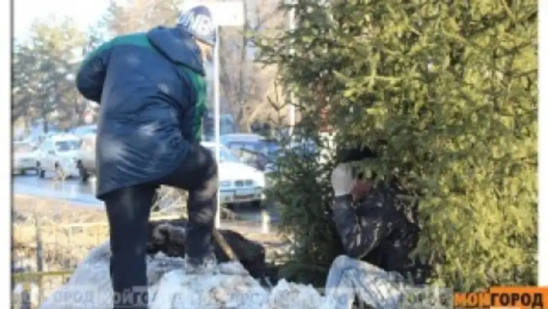 Уральские власти пока не знают, когда установят новогодние елки