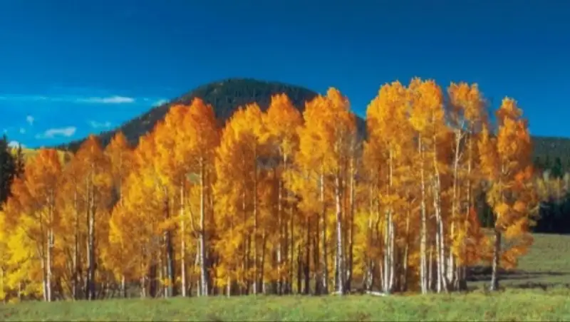 17 фотографий, доказывающих, что осень – самое красивое время года