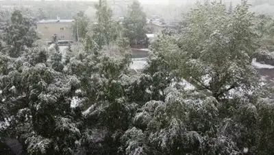 YouTube, фото - Новости Zakon.kz от 19.05.2018 09:58