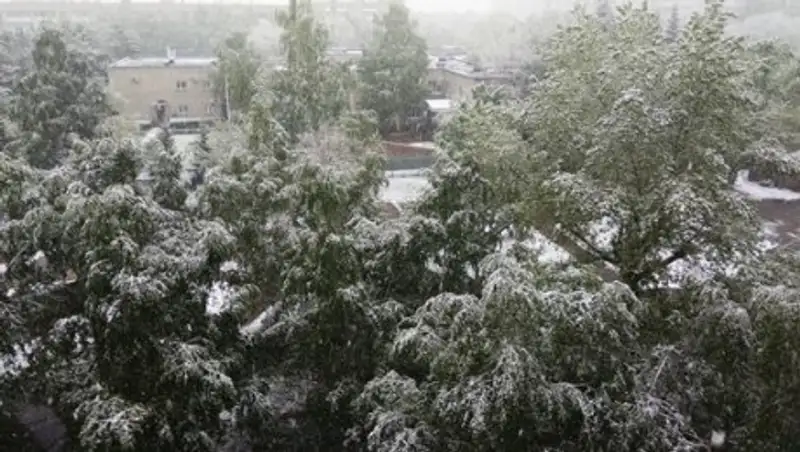 В Усть-Каменогорске выпал майский снег