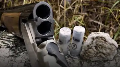 Zakon.kz, фото - Новости Zakon.kz от 03.08.2017 23:40