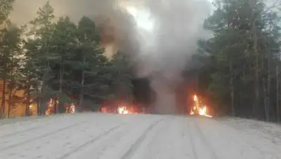 КЧС МВД РК, фото - Новости Zakon.kz от 21.05.2018 19:14