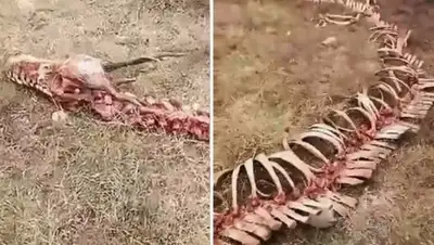 Zakon.kz, фото - Новости Zakon.kz от 20.10.2017 01:22