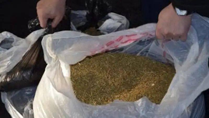 Более 60 кг марихуаны изъято у трех жителей Уральска