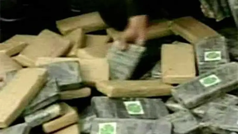 В Петербурге у москвича изъята партия кокаина на 173 млн рублей