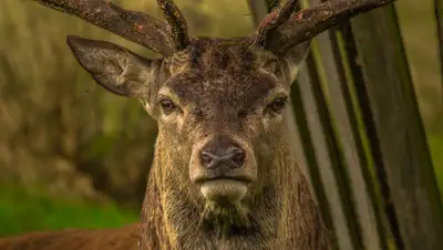 pixabay.com, фото - Новости Zakon.kz от 07.10.2019 01:27