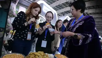 Валерий Бугаев, фото - Новости Zakon.kz от 08.11.2018 15:20