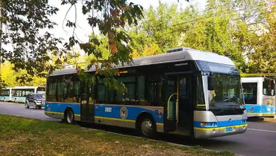 wikipedia.org, фото - Новости Zakon.kz от 29.11.2019 11:56