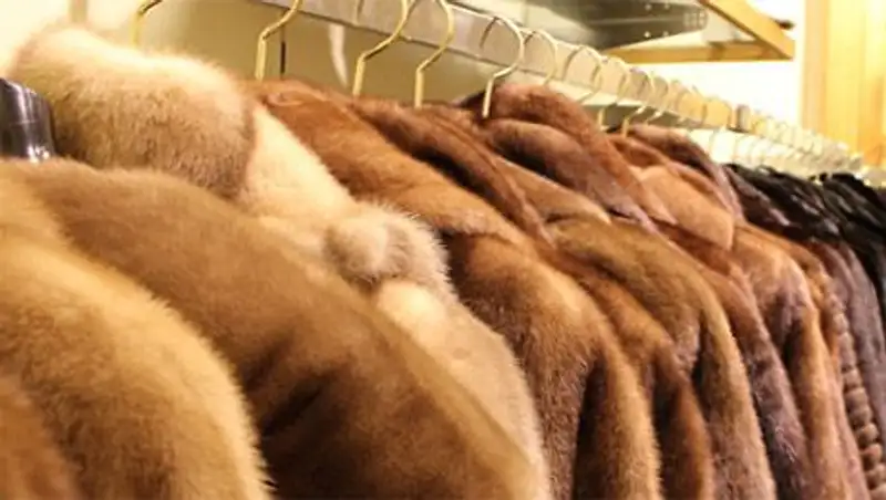 Самая крупная контрабанда в истории таможни РК составила более 4 тыс норковых шуб