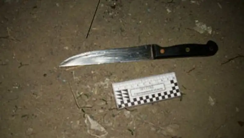 Двойное убийство совершено в Южном Казахстане, подозреваемый задержан