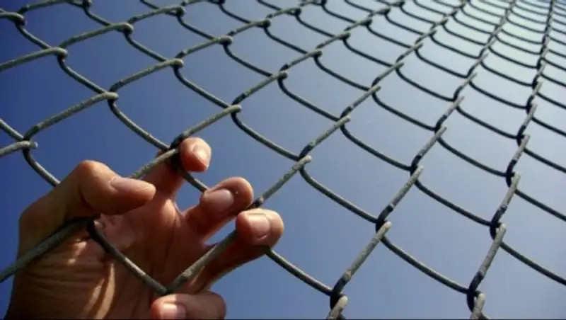 Оказавшаяся за решеткой известная художница-целительница обратилась к общественности