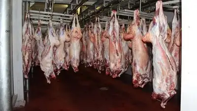 Zakon.kz, фото - Новости Zakon.kz от 07.09.2017 20:15