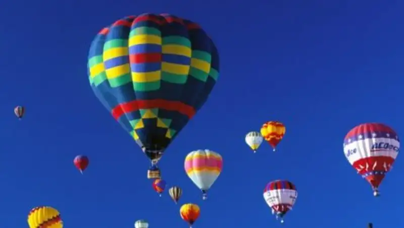 Жителям Техаса разрешили использовать воздушные шары для убийства 2 млн кабанов