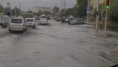 кадр из видео, фото - Новости Zakon.kz от 16.06.2020 13:23