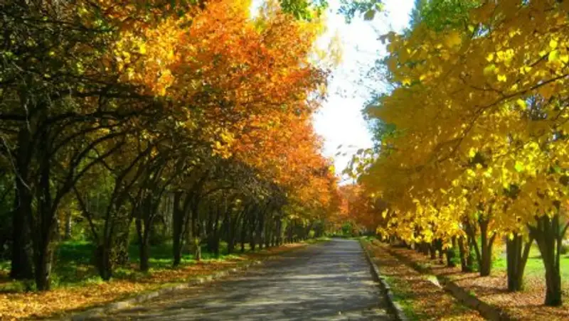 В Алматы реконструируют Ботанический сад