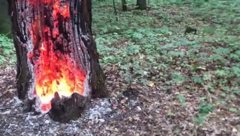 Несколько пожаров произошли в ВКО из-за молний