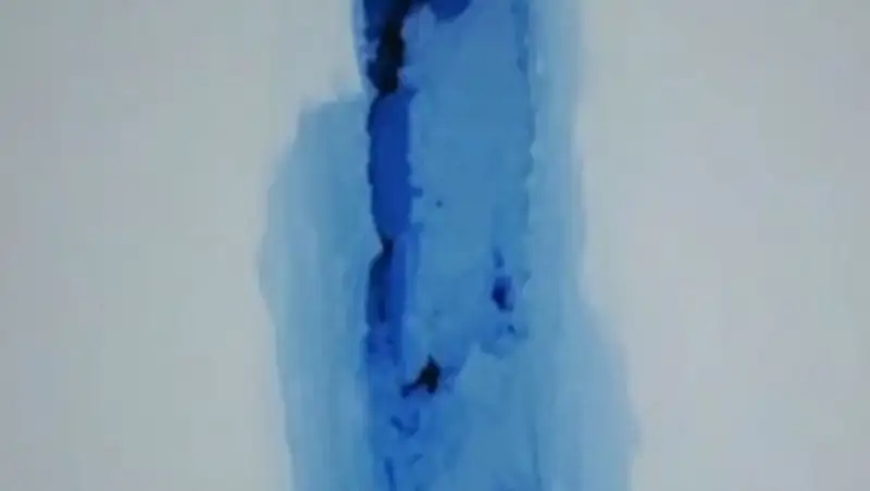 В Антарктиде научную станцию закрывают из-за гигантской трещины