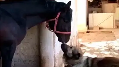 Zakon.kz, фото - Новости Zakon.kz от 04.05.2017 15:49