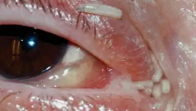 Zakon.kz, фото - Новости Zakon.kz от 03.12.2014 18:35