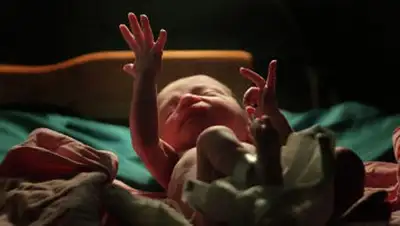 Zakon.kz, фото - Новости Zakon.kz от 14.10.2014 23:52