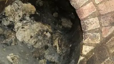 Zakon.kz, фото - Новости Zakon.kz от 15.09.2017 12:20