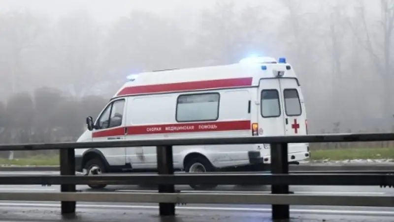 Школьница из Сибири сумела отбиться от педофила, напавшего с топором