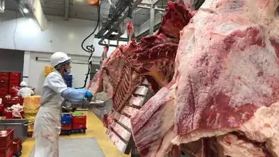 Казахстанское мясо начнут экспортировать в Саудовскую Аравию, фото - Новости Zakon.kz от 09.08.2022 11:47