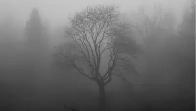 Туман в Казахстане, фото - Новости Zakon.kz от 30.12.2021 18:19