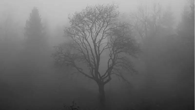 В четырех регионах Казахстана объявили штормовое предупреждение