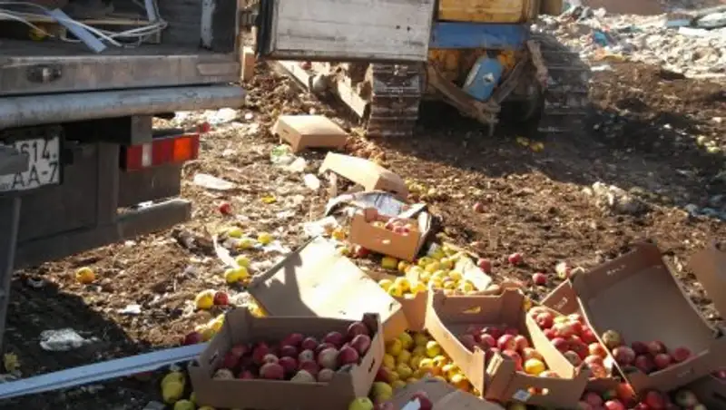 В Россию из Казахстана и Кыргызстана ввозилась подкарантинная продукция