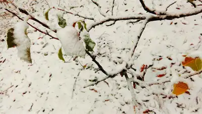 Zakon.kz, фото - Новости Zakon.kz от 22.10.2015 23:44