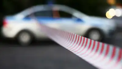 newizv.ru, фото - Новости Zakon.kz от 21.01.2019 23:42